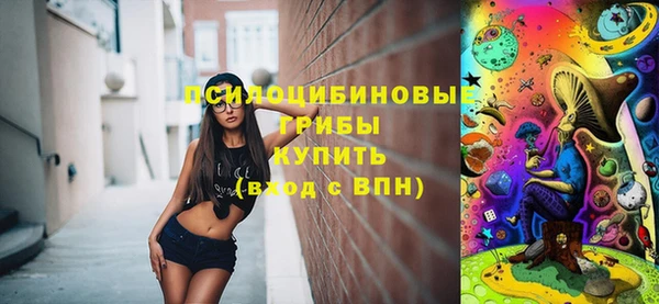 СК Волоколамск