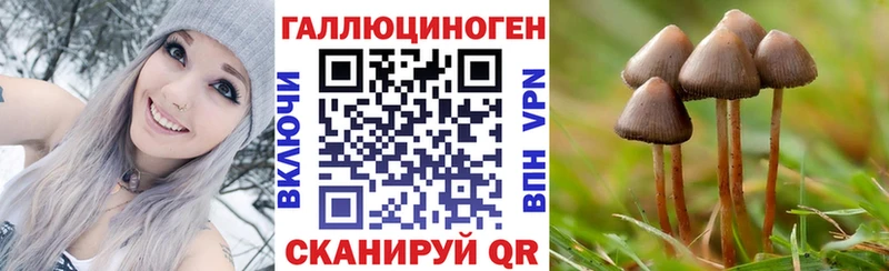 Псилоцибиновые грибы мицелий Снежинск